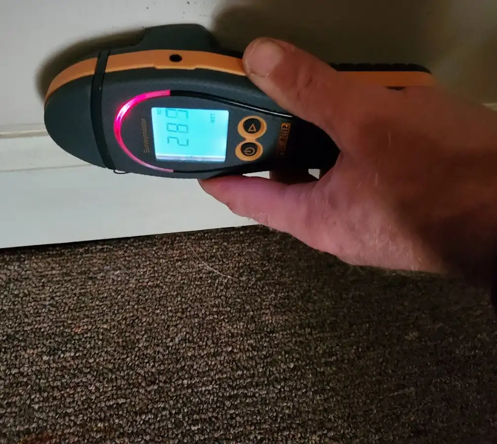 Moisture detection at baseboard during Mold Inspection & Testing in Irving